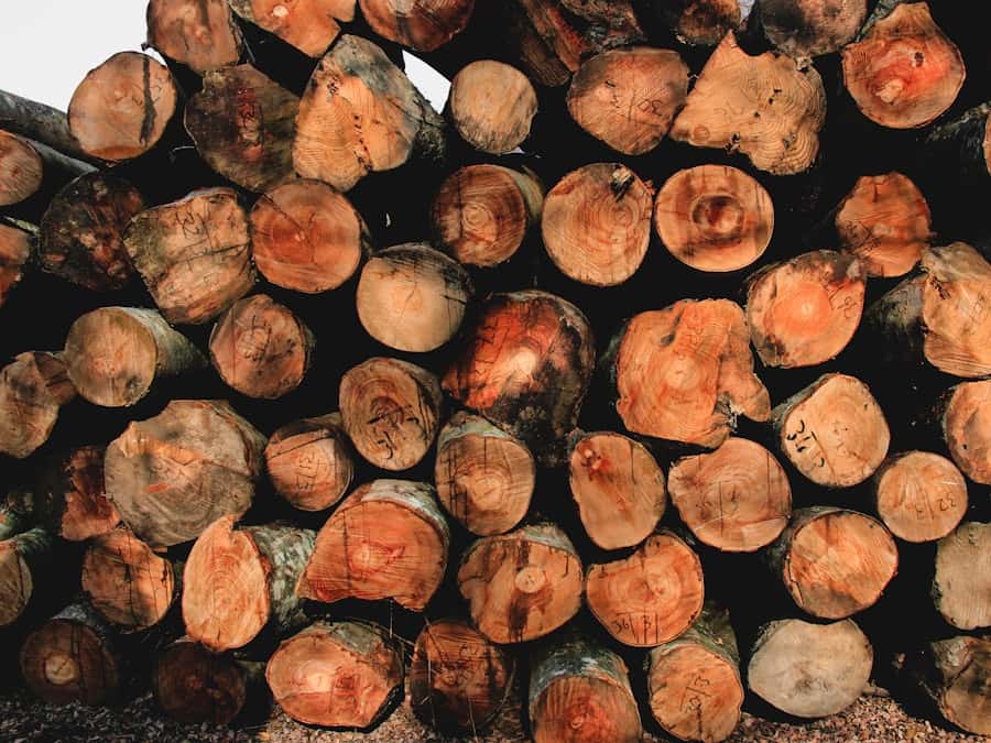 Billes de bois empilées et rangées après évacuation d’un chantier d’abattage