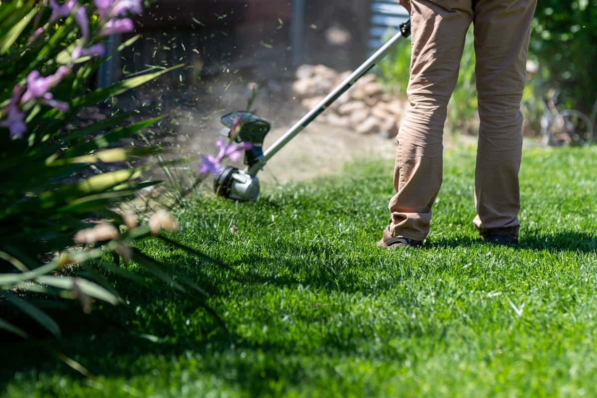 Débroussaillage à la débroussailleuse portative le long d’un massif fleuri
