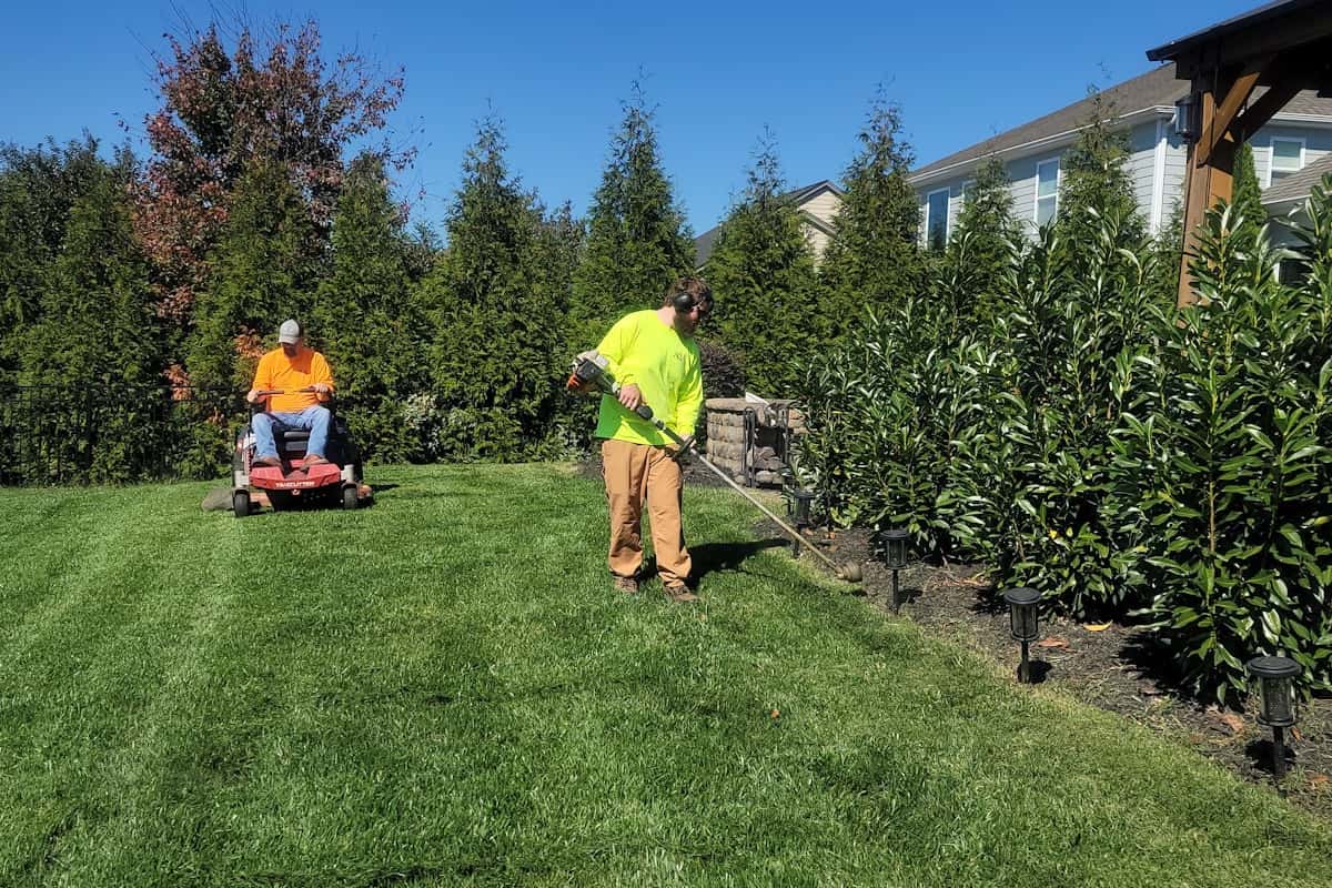 Deux jardiniers tondant et finissant une pelouse le long d’une haie de conifères